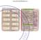 Chloromycetin photo